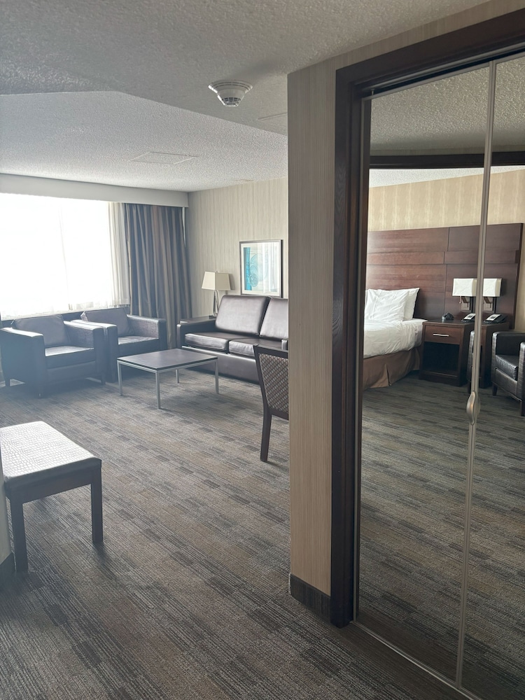 Studio Suite, 1 King Bed with Sofa bed, Non Smoking thumbnail 5