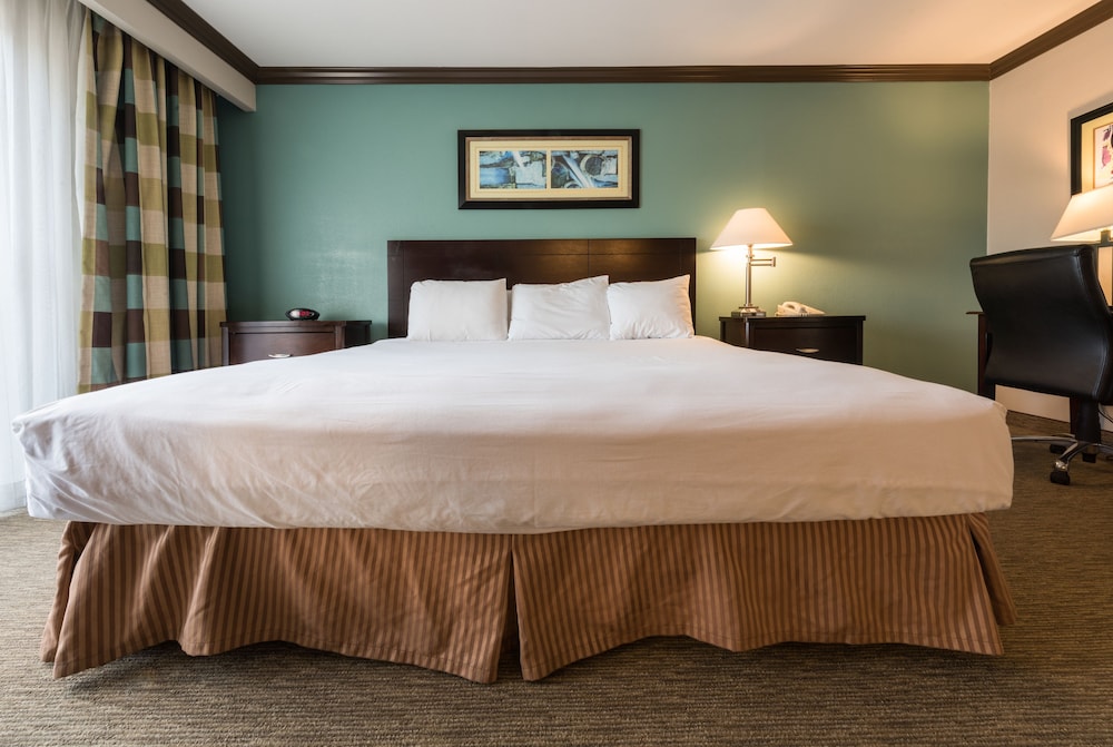 Executive King Suite photo 1