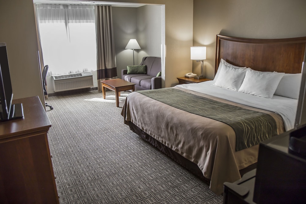 Standard Room, 1 King Bed with Sofa bed photo 2