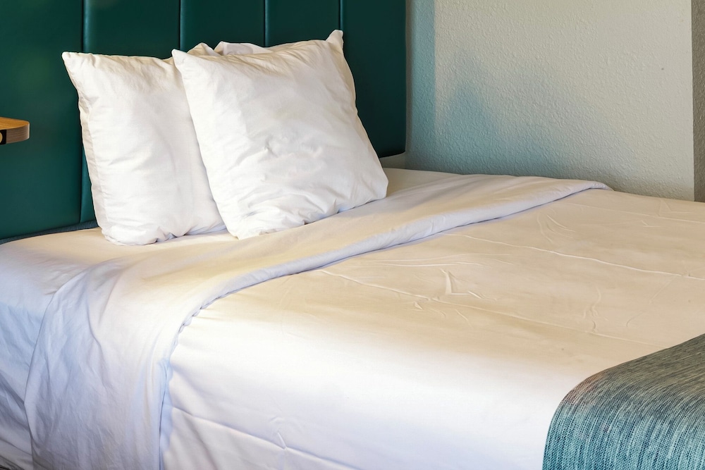 Room, 1 Queen Bed, Accessible, Non Smoking (Mobility/Hearing, Roll-In Shower) - Photo 10