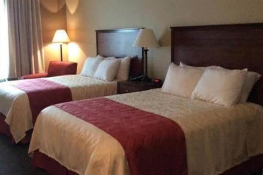 Standard Room, 2 Queen Beds photo 1