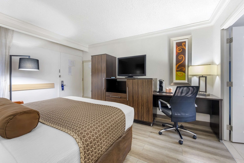 Room, 1 Queen Bed, Accessible, Non Smoking - Photo 4