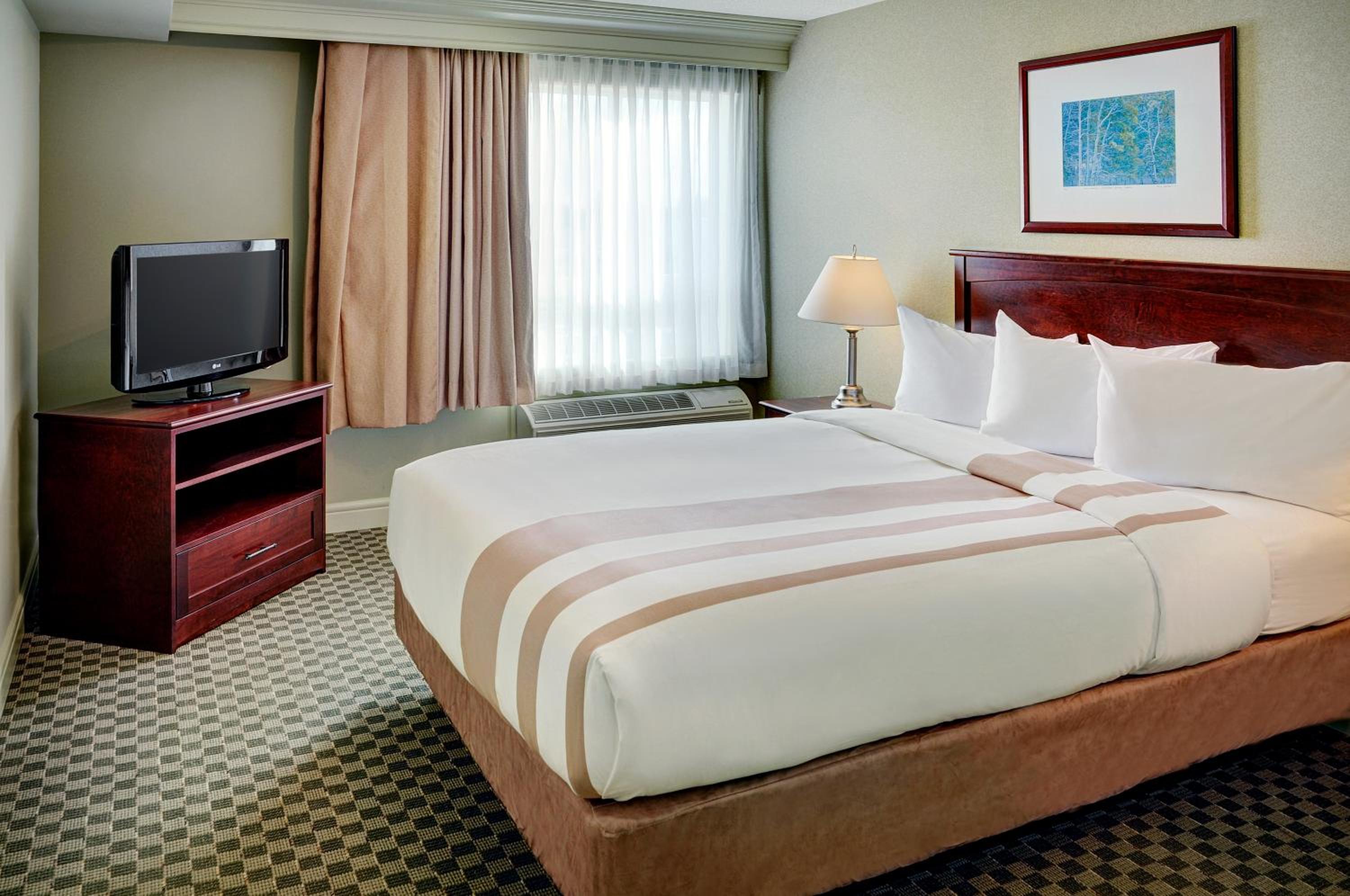 Executive Queen Suite photo 2