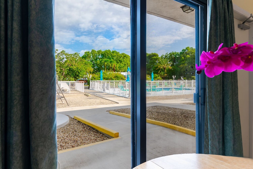 Superior Studio Suite, Pool View