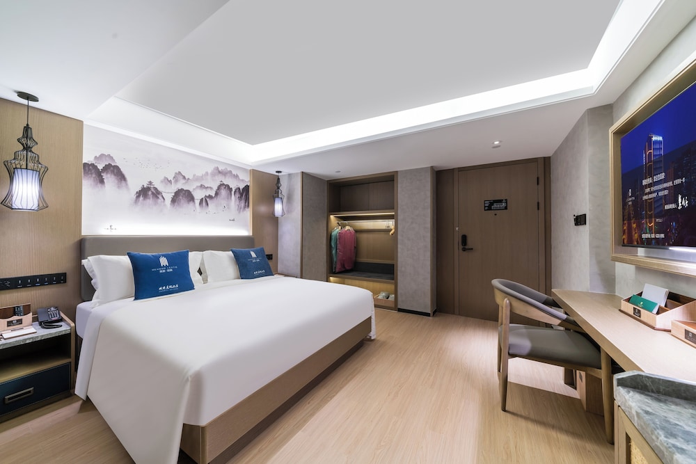 Deluxe Double Room, City View photo 2