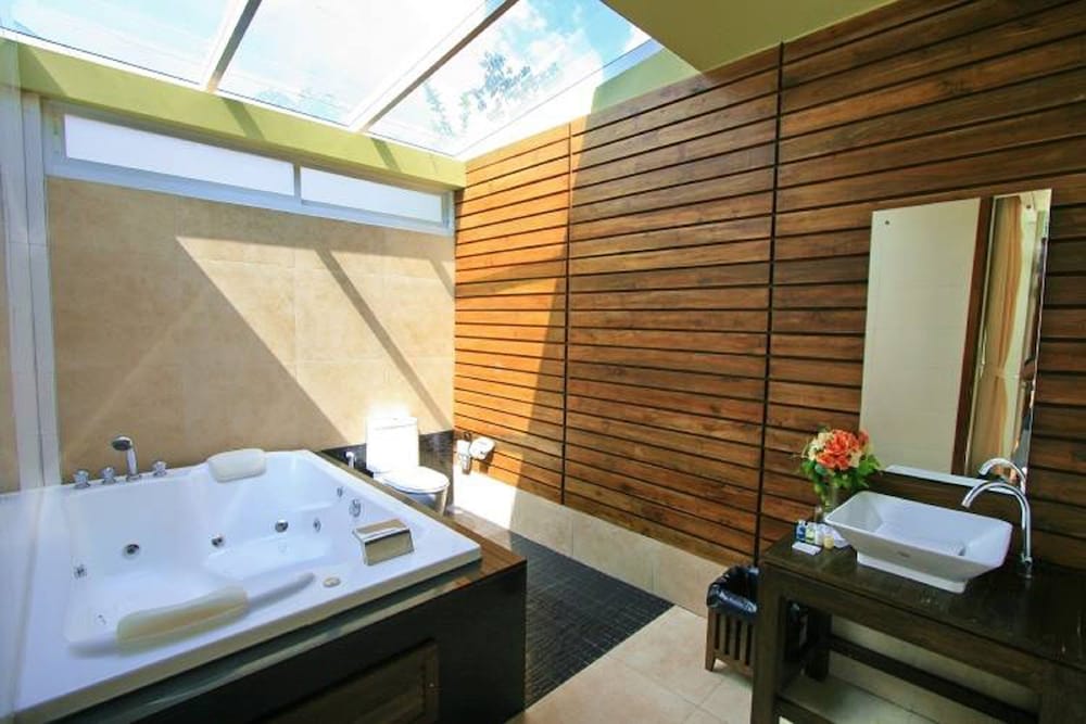 Jacuzzi Suite photo 2