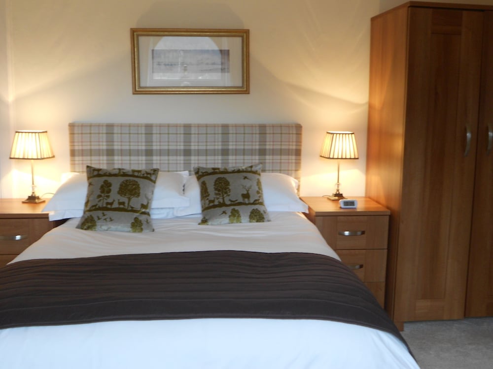 Double Room, 1 King Bed (2) photo 2