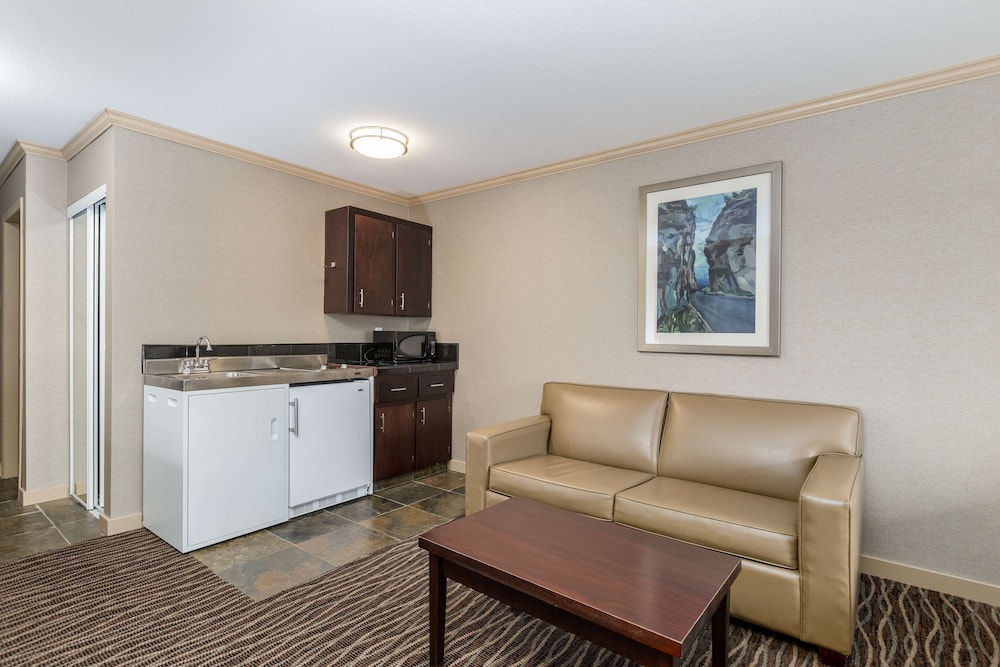 Standard Room, 1 King Bed, Non Smoking, Kitchenette (Pet Friendly;with Sofabed)