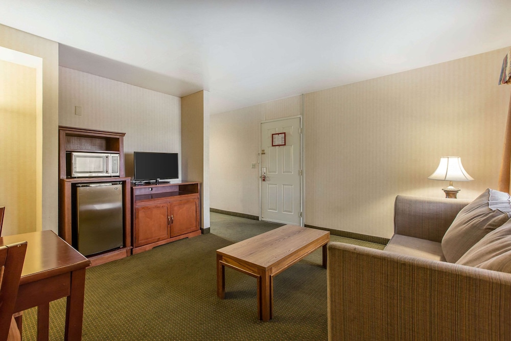 Suite, 1 King Bed with Sofa bed, Non Smoking photo 2