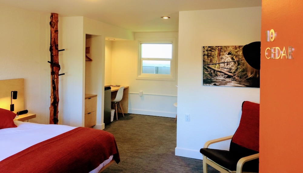 Room, 1 Queen Bed, Refrigerator