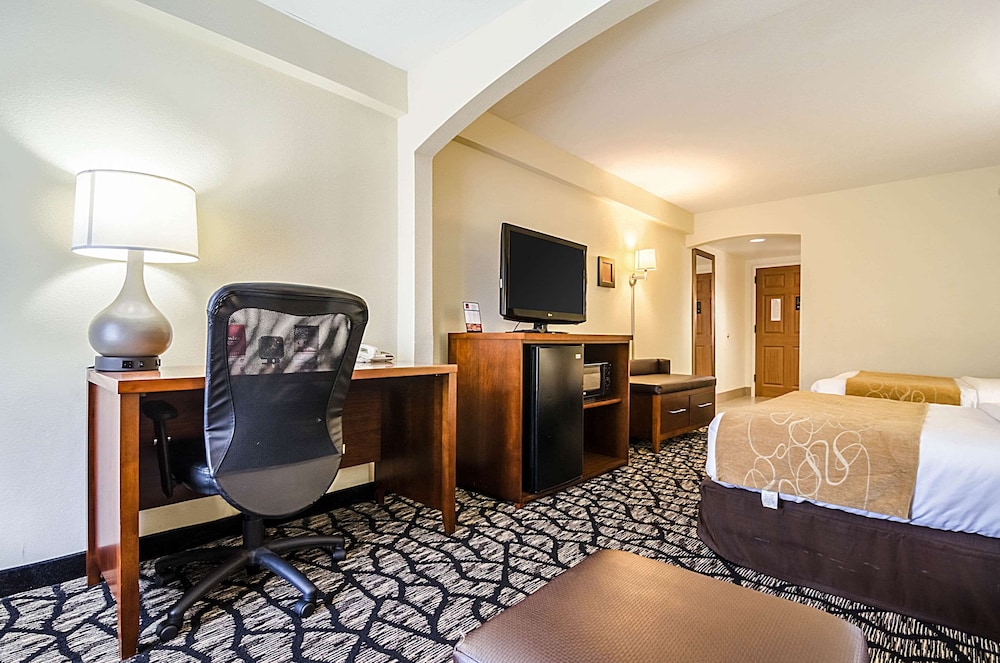 Studio Suite, Multiple Beds, Non Smoking photo 3