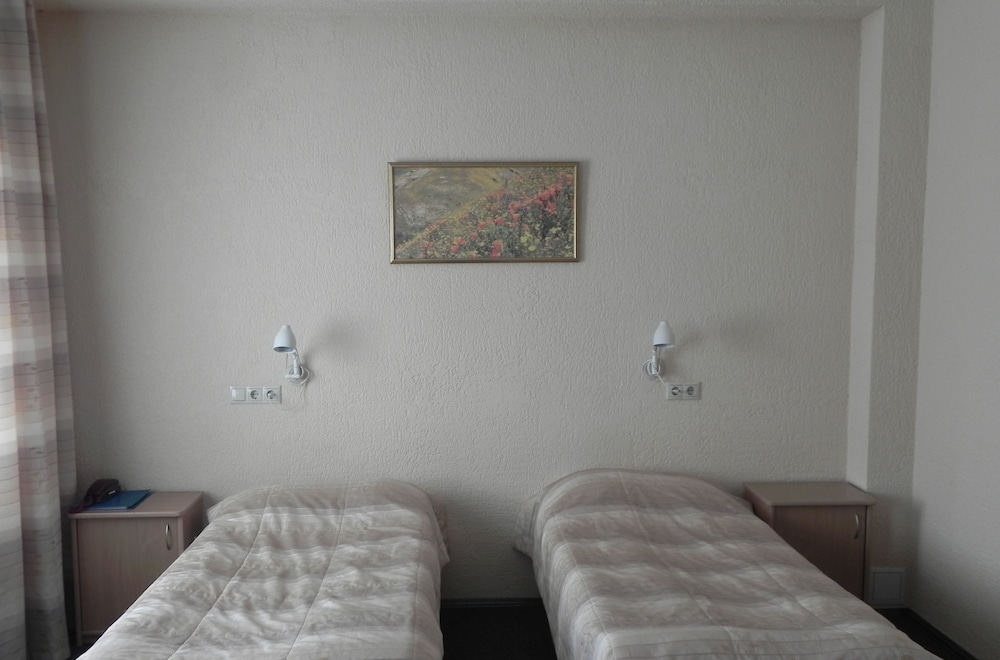 Standard Twin Room photo 1