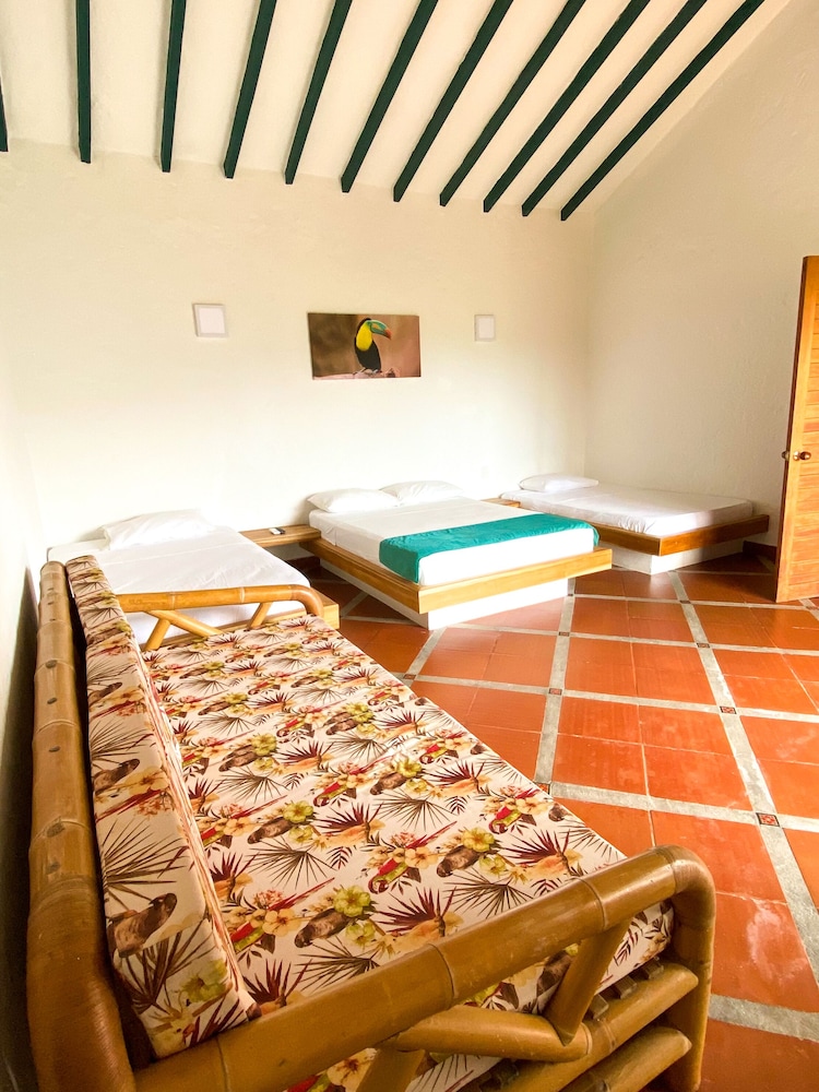 Family Room, Multiple Beds, Garden View photo 1