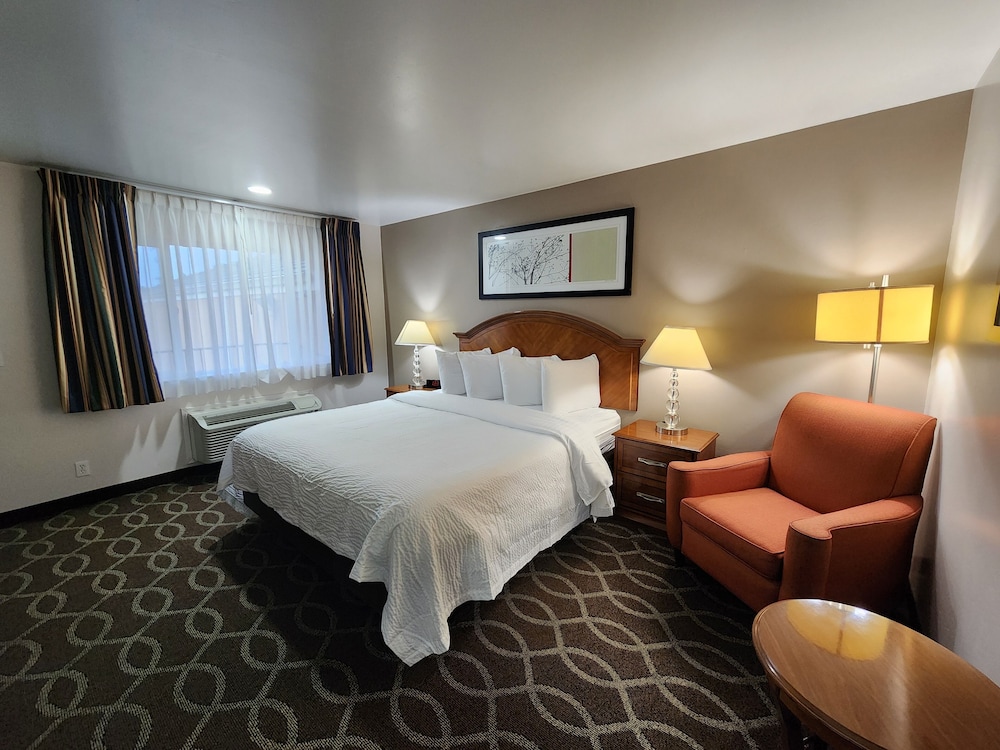 Room, 1 King Bed, Non Smoking photo 2