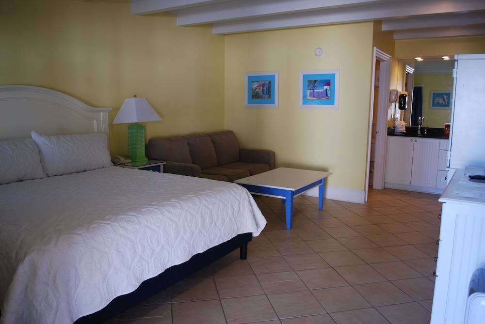 Room, 1 King Bed With Sofa Bed
