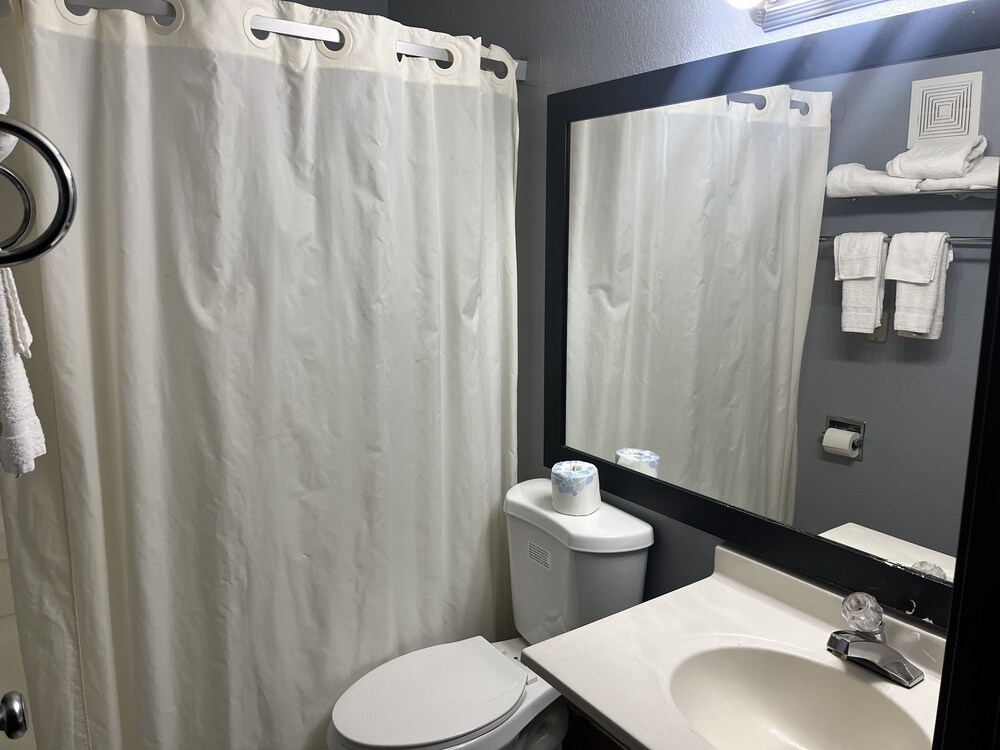 Standard Room, 1 King Bed, Non Smoking - Photo 12