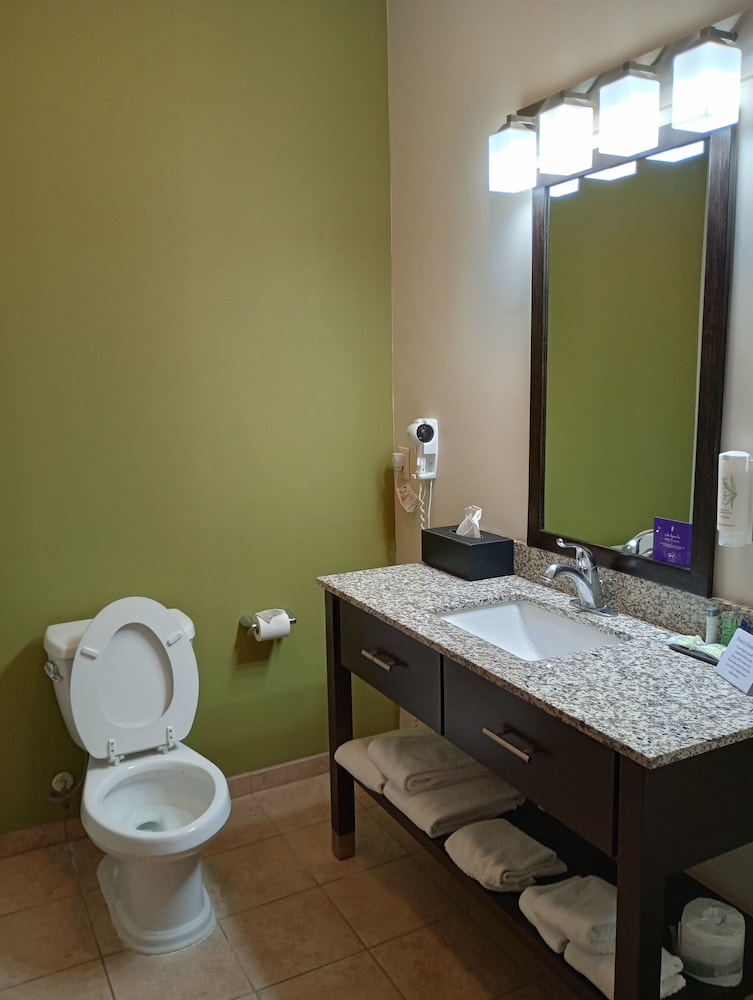 Room, 2 Queen Beds, Non Smoking (Pet Friendly) - Photo 7