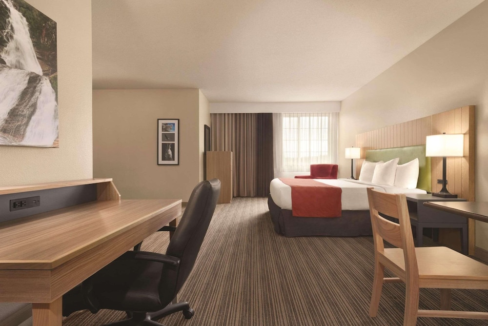 Premium Studio Suite, 1 King Bed, Non Smoking photo 1
