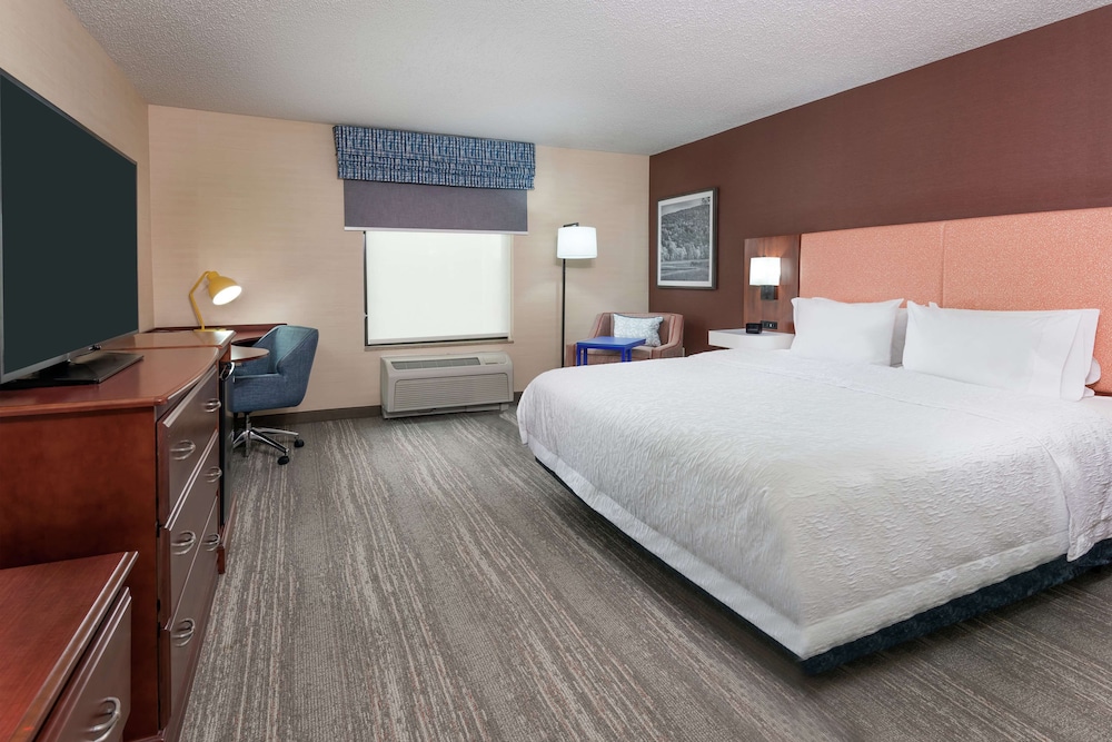 Room, 1 King Bed, Accessible, Non Smoking (Roll-in Shower) - Photo 2