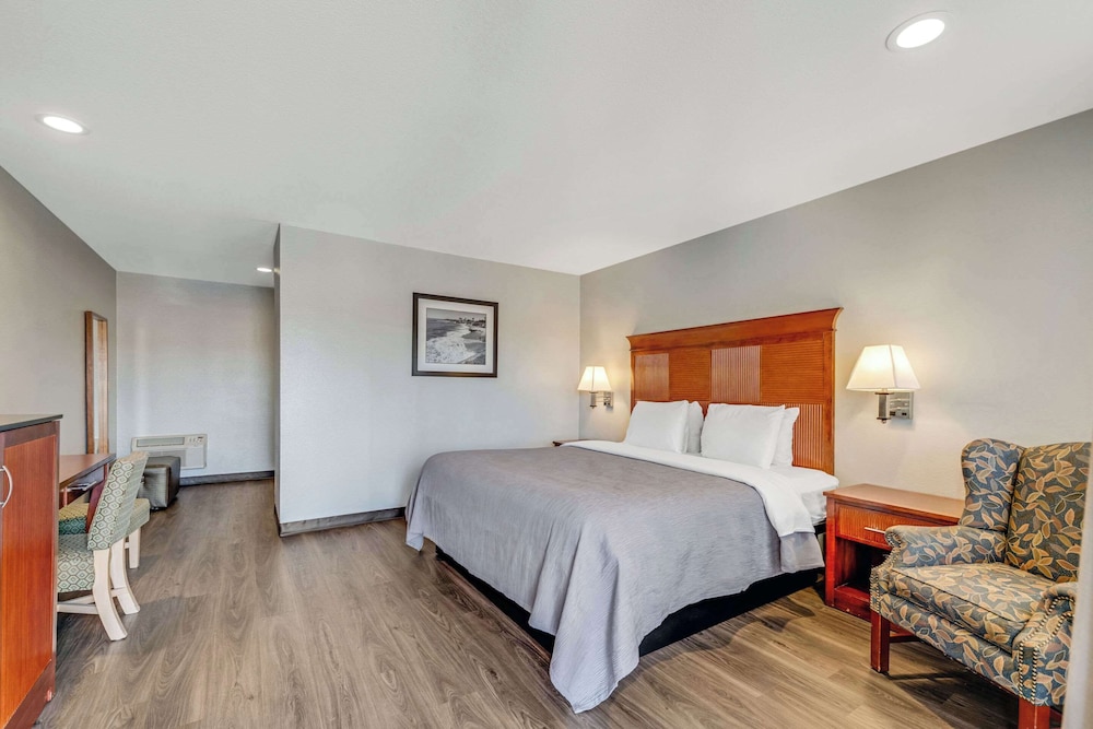 Standard Room, 1 King Bed, Non Smoking, Patio photo 1
