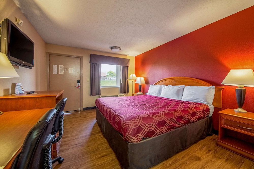 Standard Room, 1 King Bed, Non Smoking - Photo 1