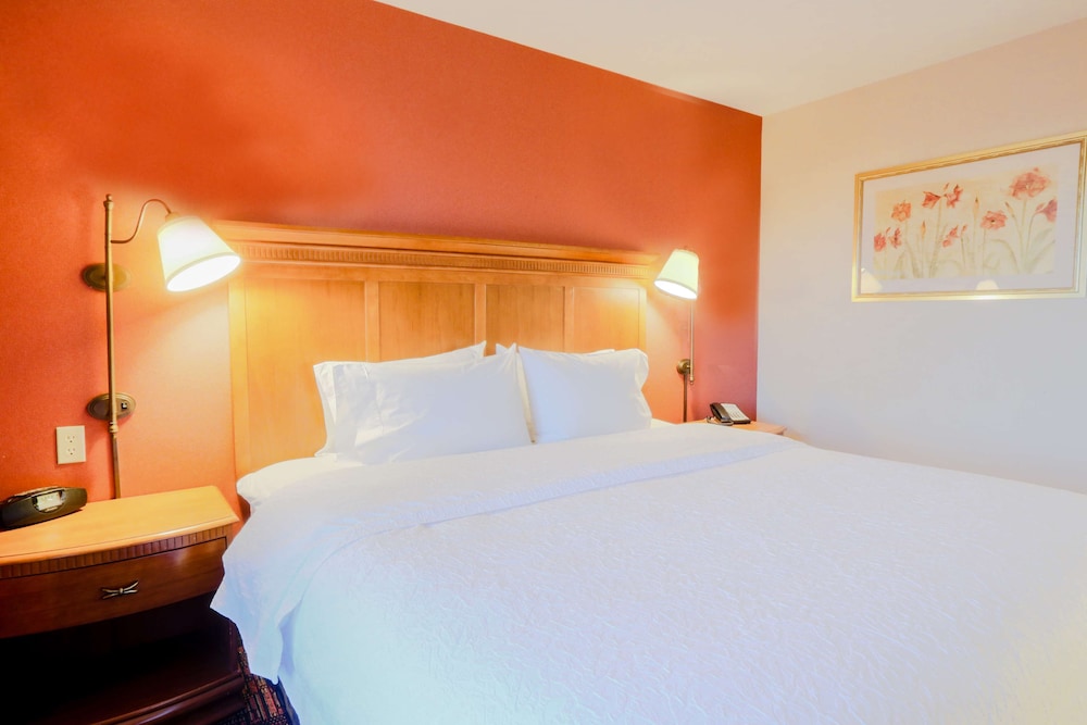 Studio Suite, 1 King Bed - Photo 1