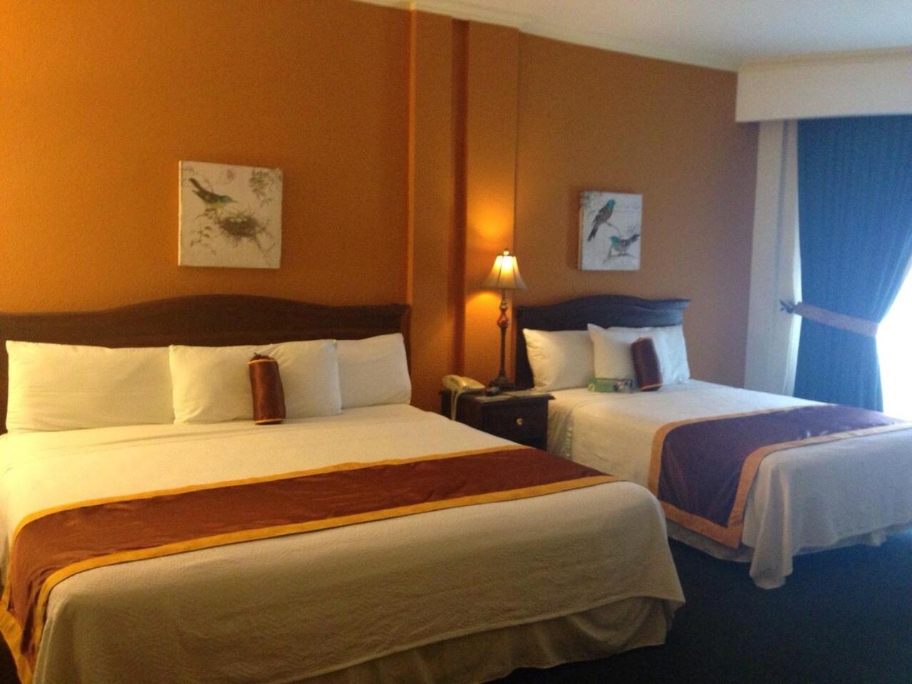 Standard Double Suite photo 1