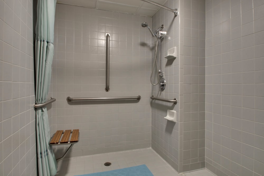 Superior King Bed with Roll-In Shower ( Ground Level) - Photo 4