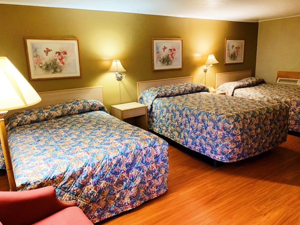 Standard Room, Multiple Beds photo 1