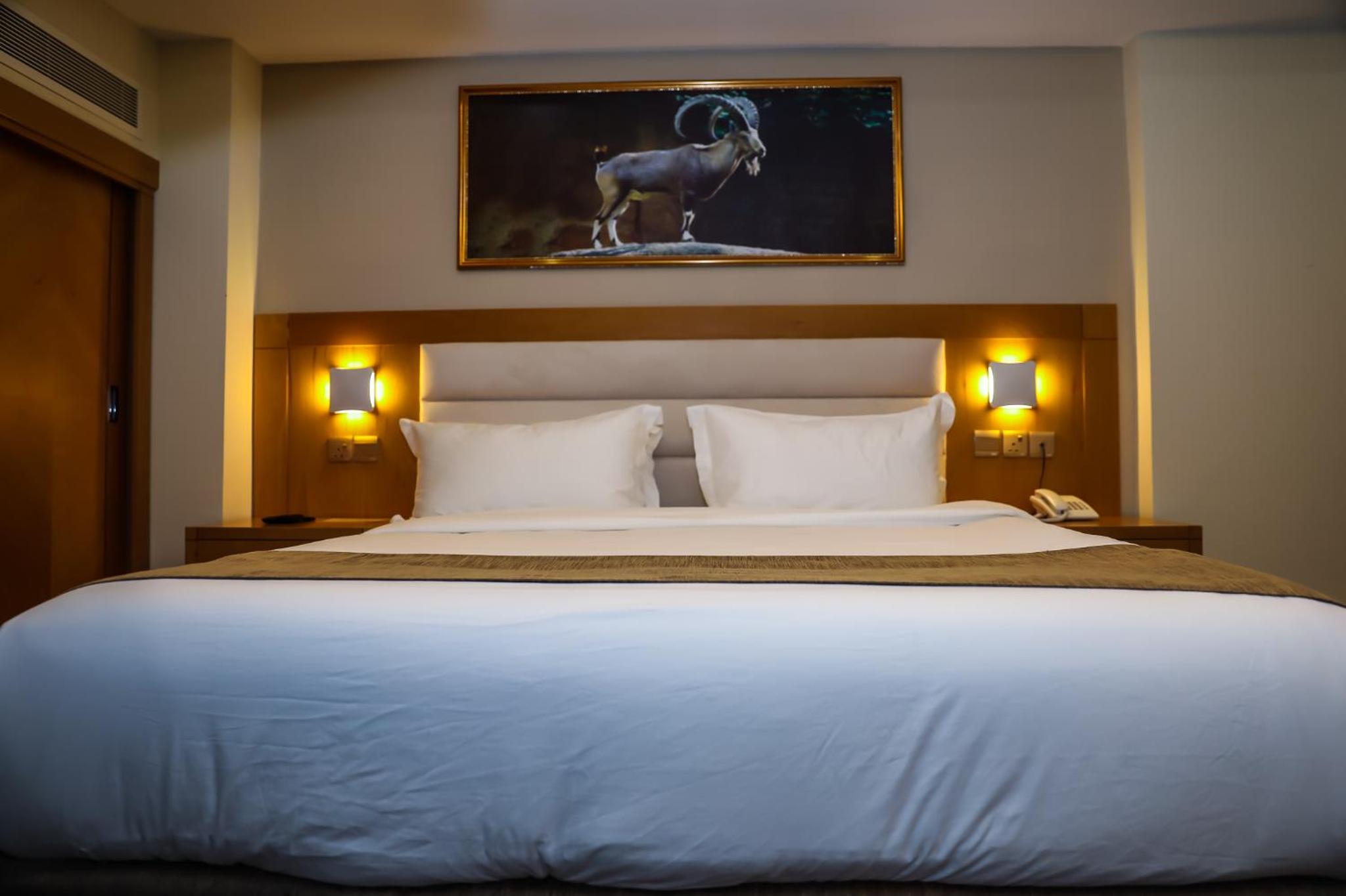 Standard King Room - Photo 9