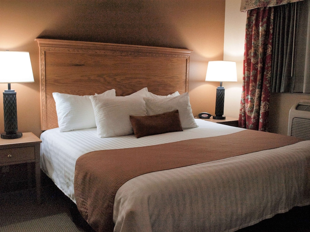 Suite, 1 King Bed, Non Smoking, Refrigerator & Microwave (Larger Room;With Sofabed) - Photo 2