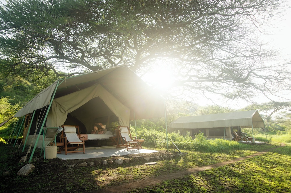 Standard Tent, 1 King Bed, Valley View photo 3