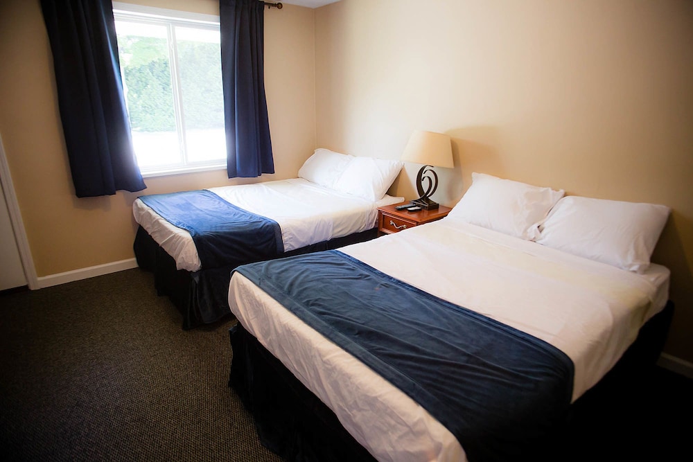 Standard Room, 2 Double Beds photo 1