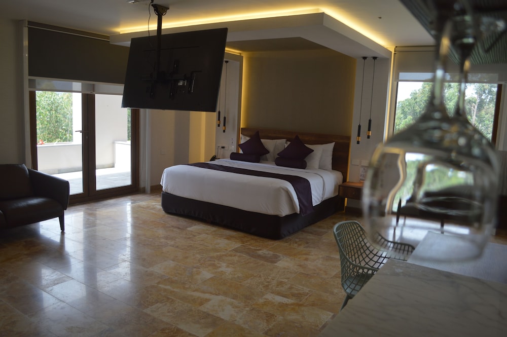 Deluxe Studio Suite photo 2