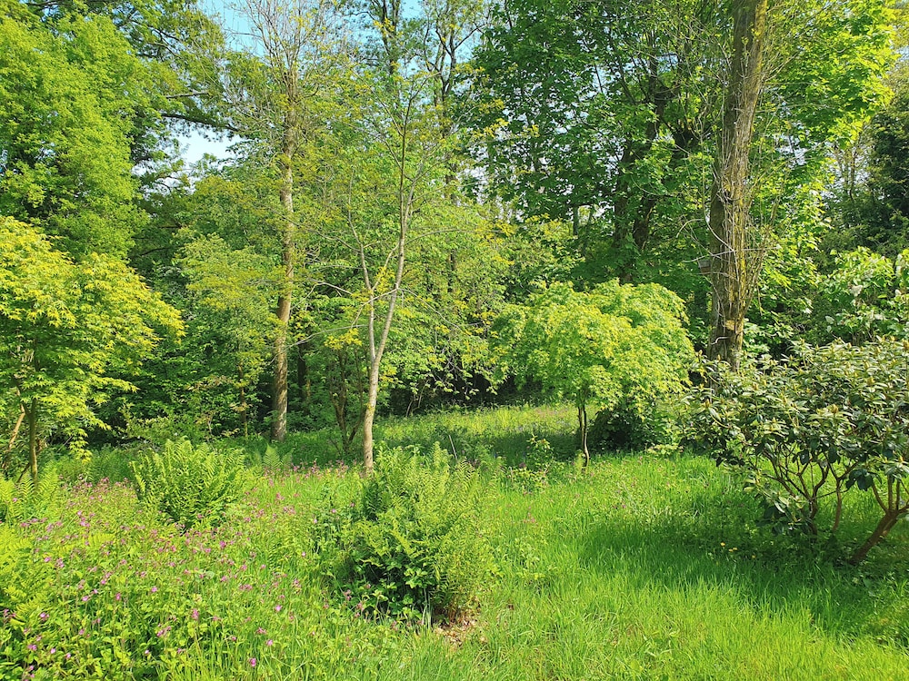Cottage photo 1