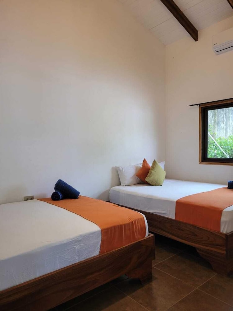 Basic Villa photo 2