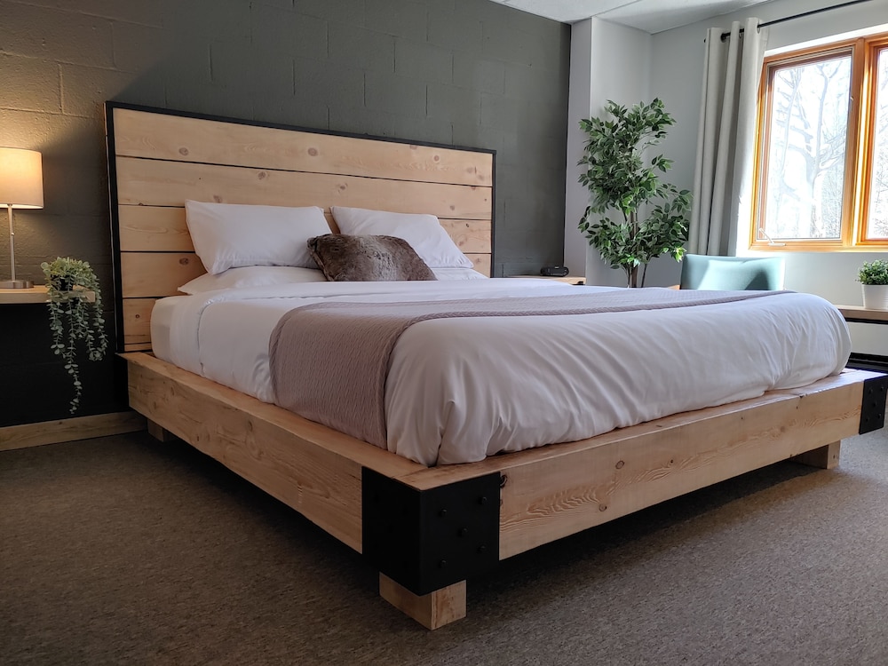 Comfort Room, 1 King Bed photo 1