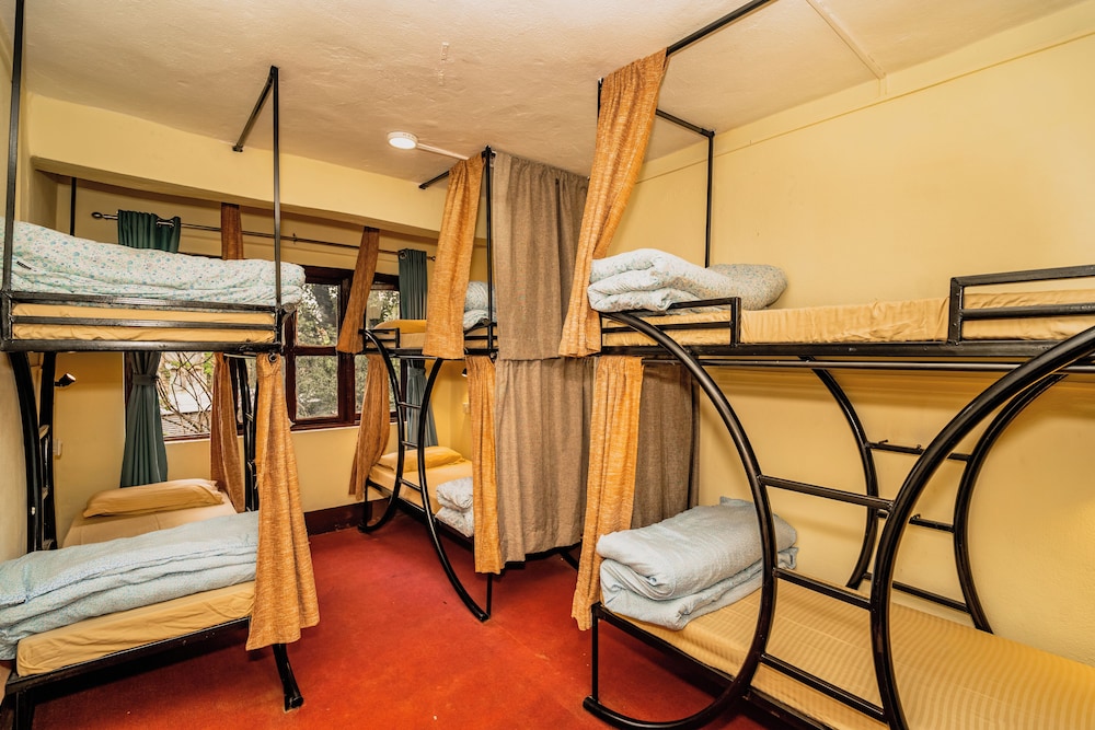Deluxe Shared Dormitory