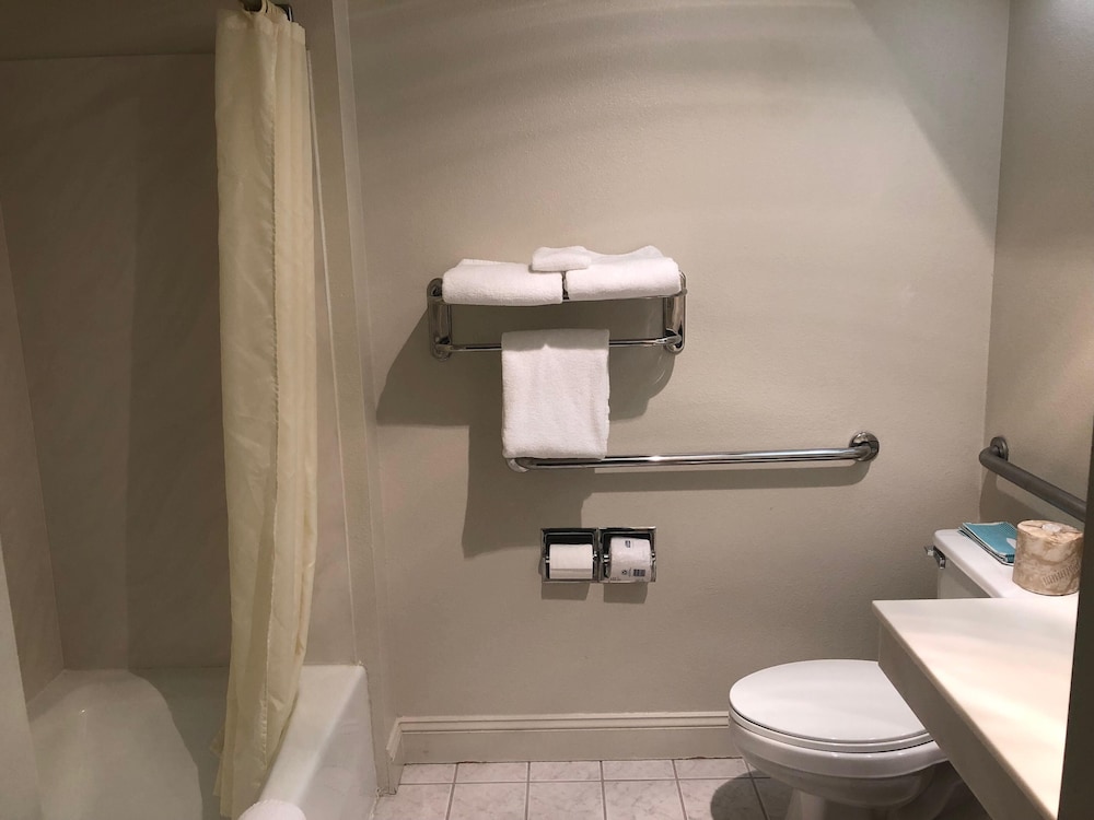 Suite, 1 Bedroom - Photo 5