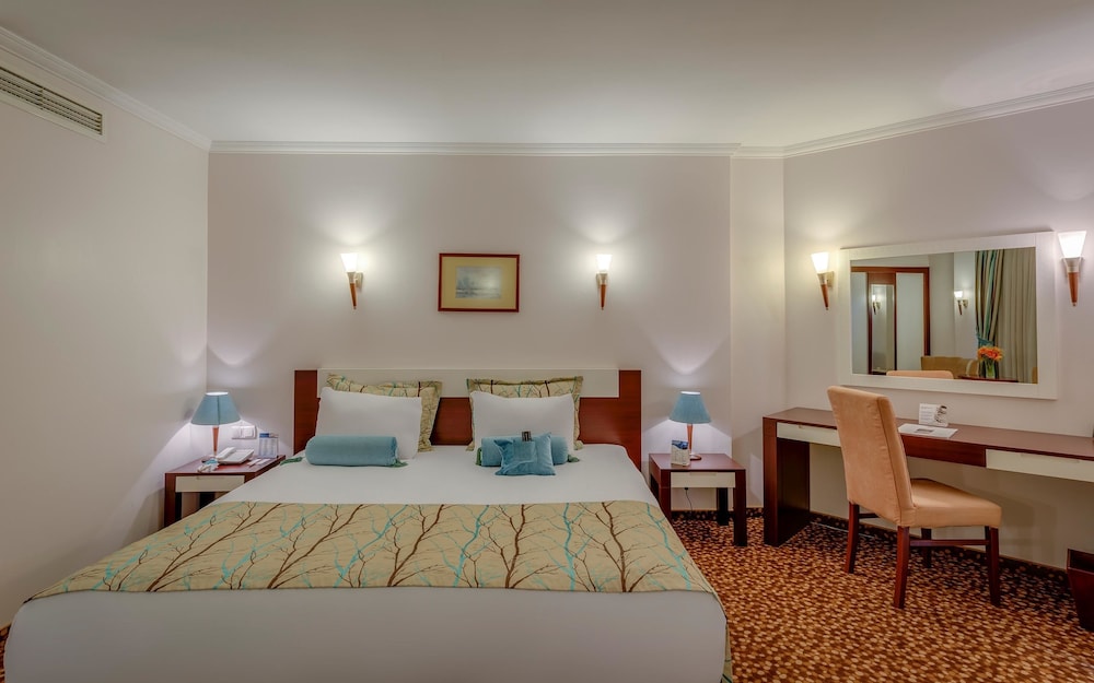 Standard Room, 1 King Bed, Non Smoking (Converts to 2 Twin Beds)