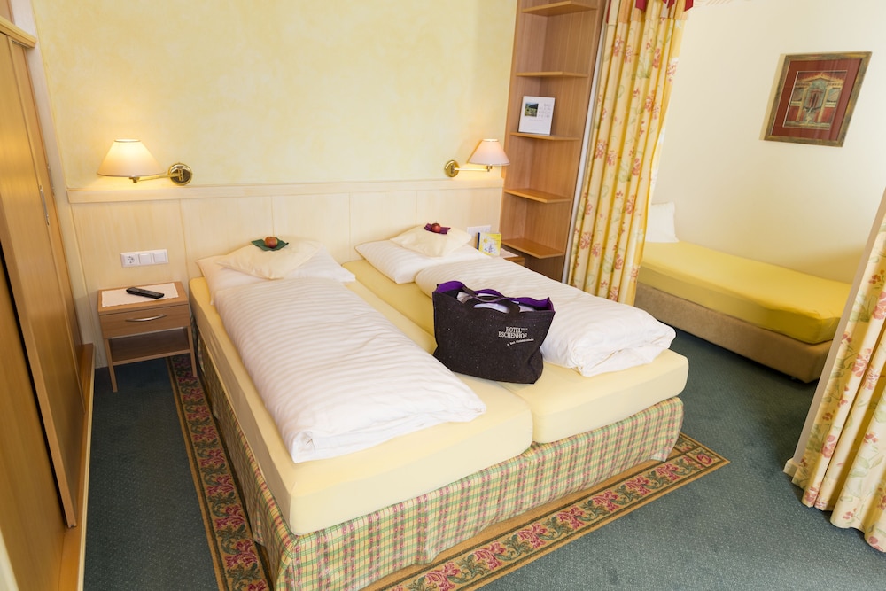 Comfort Double Room photo 2