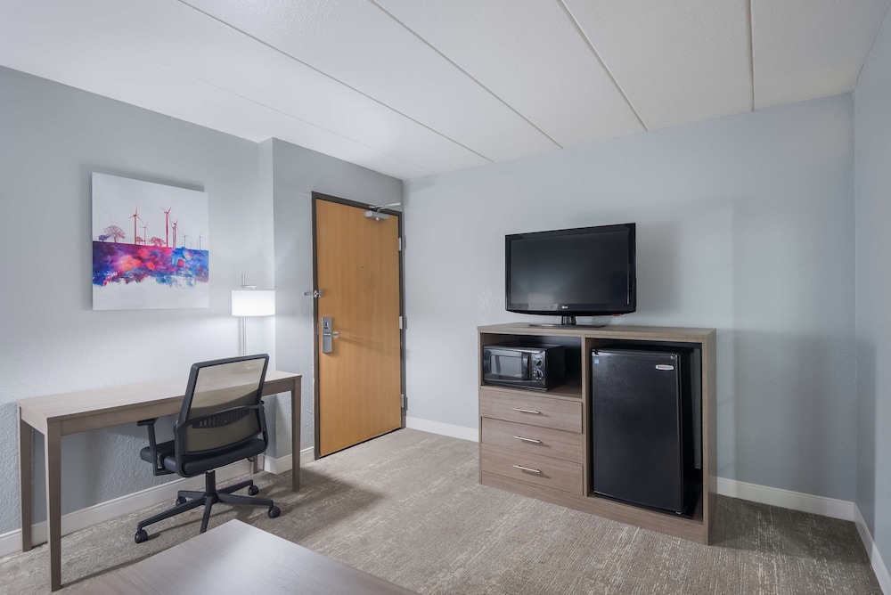 Suite, 1 King Bed, Non Smoking, Refrigerator & Microwave (Larger Room;with Sofabed) - Photo 7