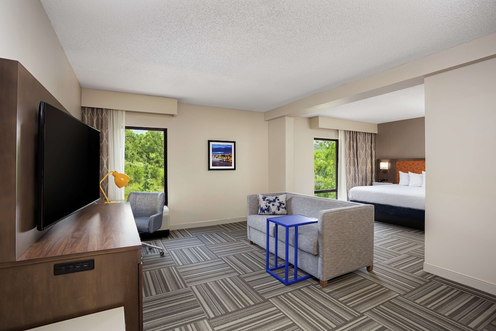Studio Suite, 1 King Bed with Sofa bed (Microwave) - Photo 2