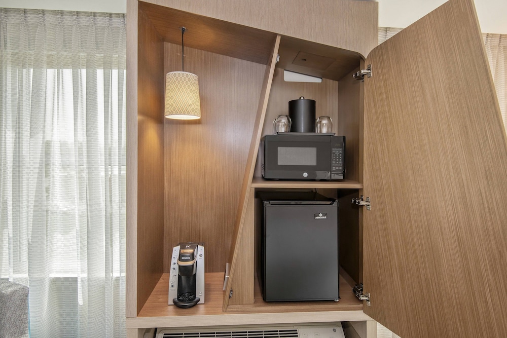 Suite, 1 King Bed with Sofa bed