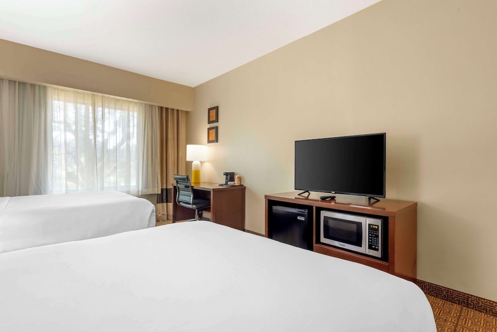 Suite, Multiple Beds, Non Smoking photo 3