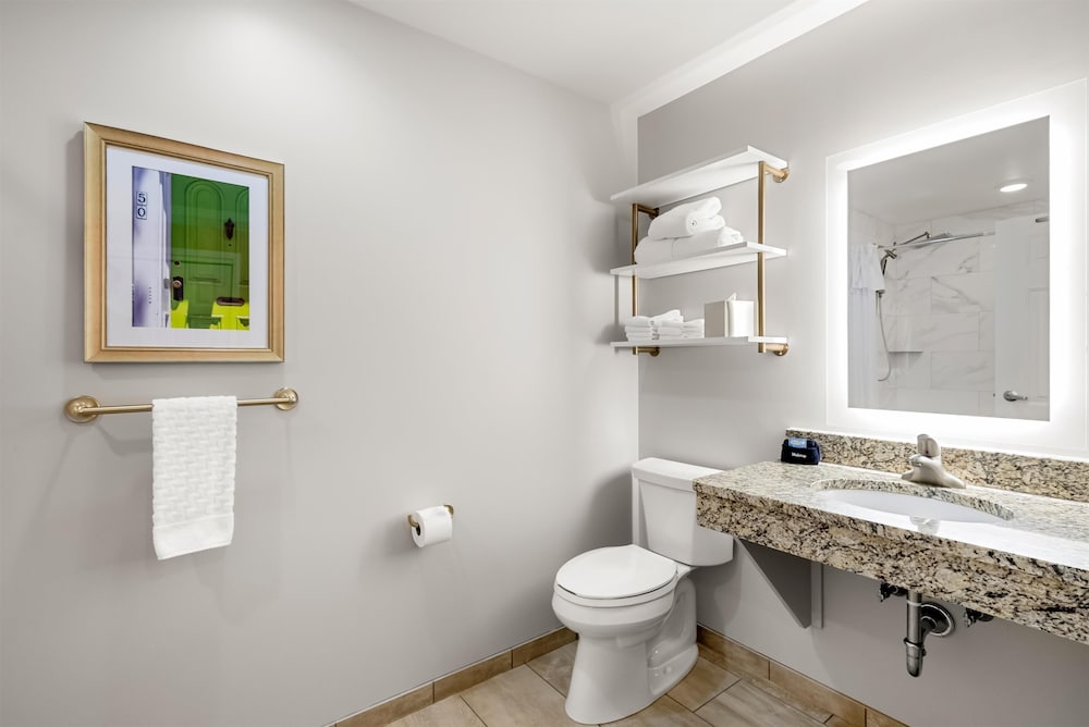 Suite, 1 King Bed, Non Smoking, Kitchenette (Walk-in Shower;with Sofabed) - Photo 10