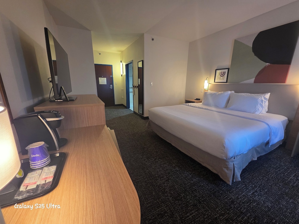 Room, 1 King Bed, Accessible (Mobility, Roll-In Shower) - Photo 1