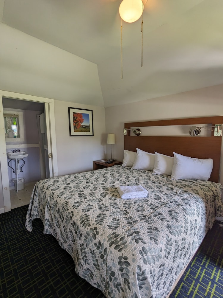 Cabin, 1 King Bed photo 1
