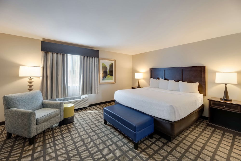 Suite, 1 King Bed, Non Smoking, Refrigerator & Microwave (with Sofabed)