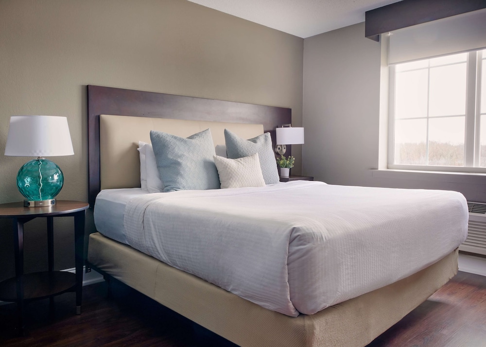 Standard Room, 1 King Bed, Non Smoking, Refrigerator & Microwave (Shower Only) - Photo 7